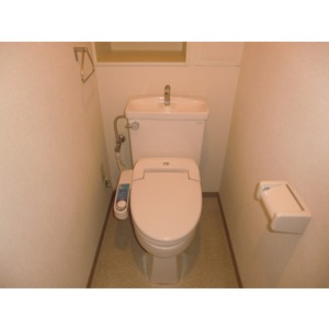 Toilet. Toilet