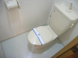 Toilet. Toilet