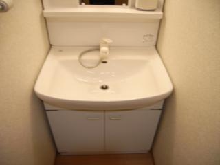 Washroom. Shampoo dresser
