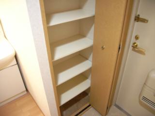 Entrance. Shoes BOX