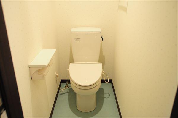 Toilet. First floor toilet