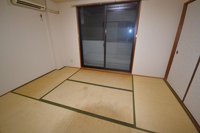 Living and room. Japanese style room