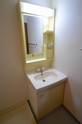 Washroom. Independent wash basin