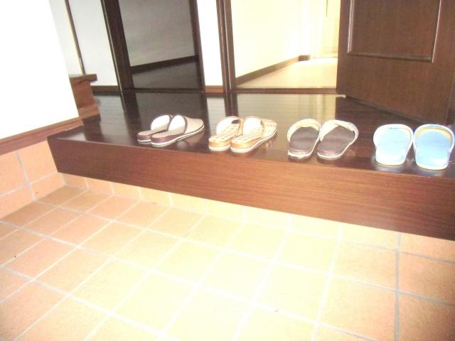 Other introspection. Spacious entrance