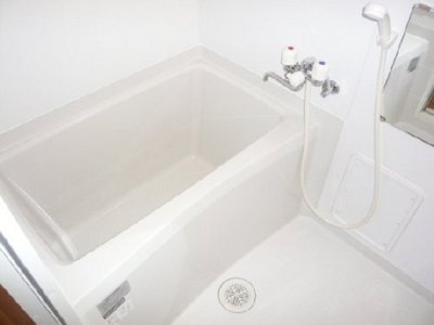 Bath. Clean bathroom