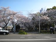 park. 50m to Imafukuhigashi park (park)