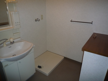 Washroom. Shampoo dresser ・ Indoor Laundry Storage