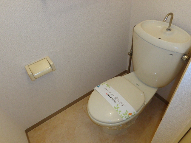Toilet. Beautiful