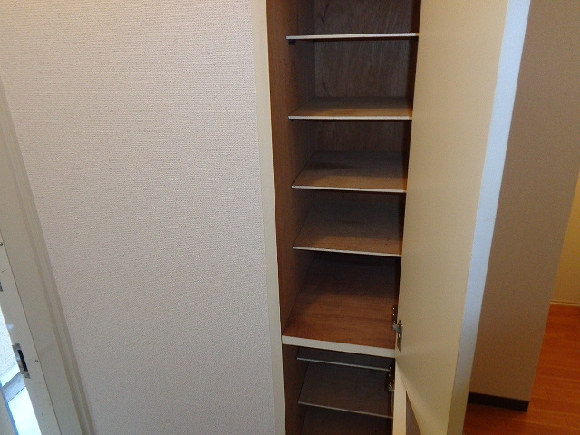 Entrance. Shoes BOX
