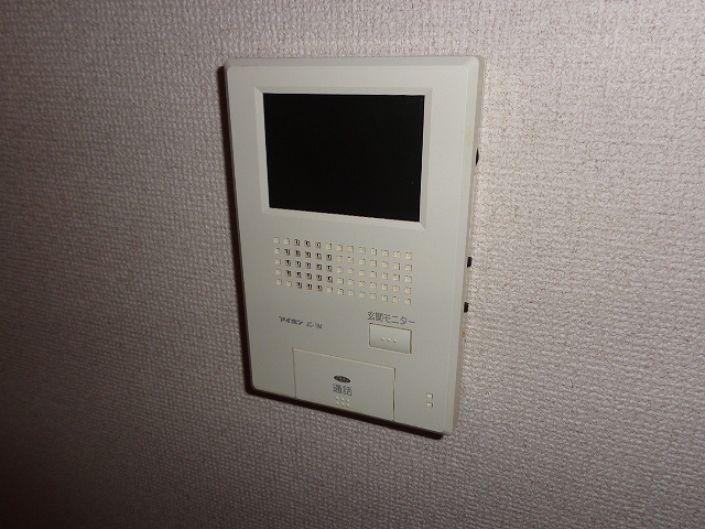 Security. Monitor Hong