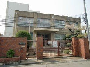 Other. Release junior high school 