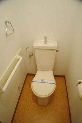 Toilet. Toilet