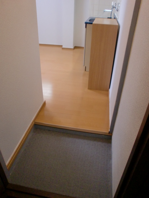 Entrance. Shoes BOX There