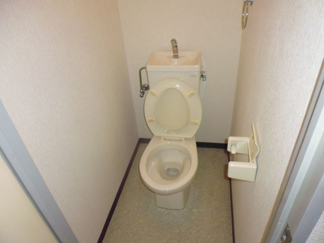 Other. Toilet