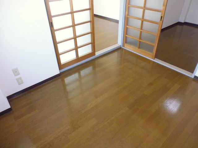 Other. Western-style 3