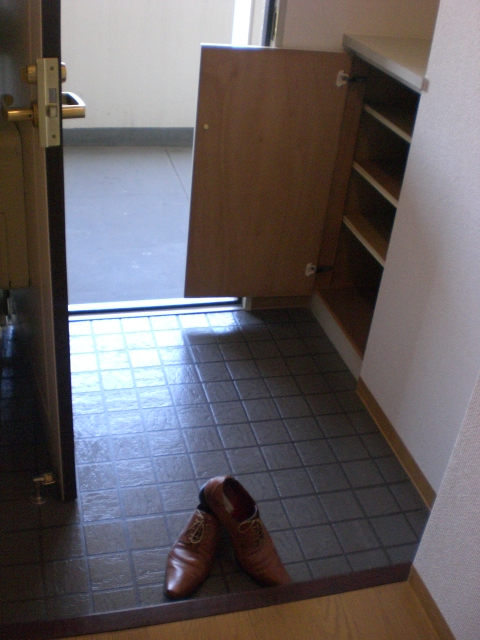 Entrance. Shoes with BOX