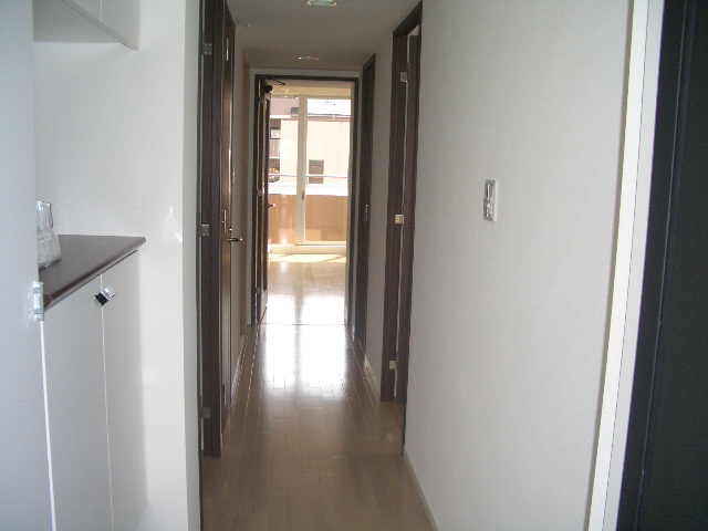 Living and room. Entrance