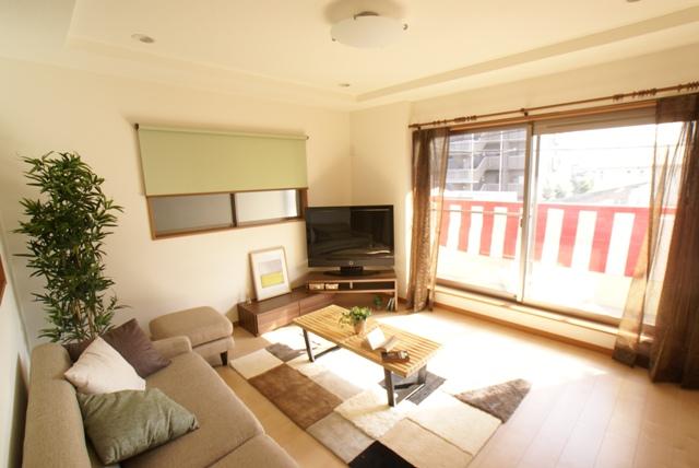 Living. Indoor (June 2013) Shooting