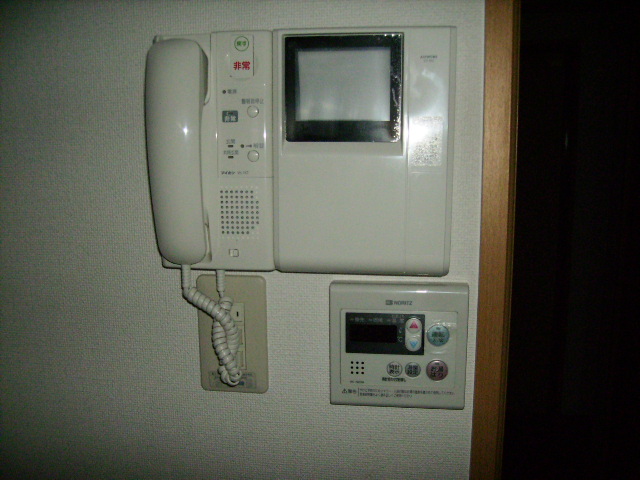 Security. TV monitor phone