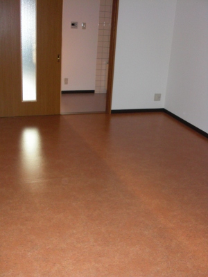 Living and room. Western style room