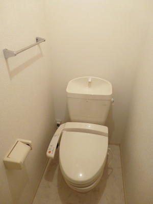 Toilet. Toilet