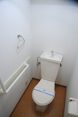 Toilet. Clean restroom
