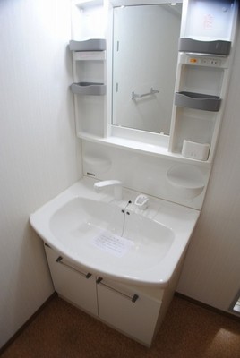 Washroom. Shampoo dresser