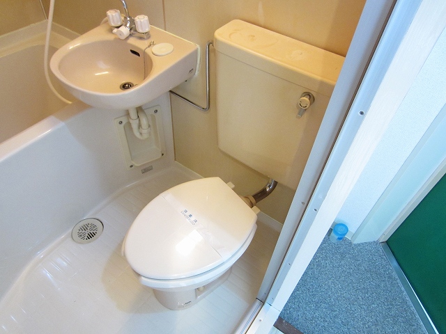 Toilet. Single-like popularity of unit type !!! reasonable to attractive !!!