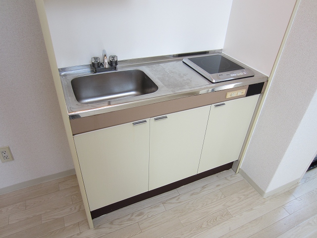Kitchen. IH kitchen !!! will also be fun dishes wide work top!