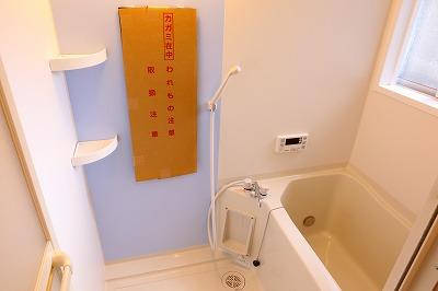 Bathroom. Indoor (01 May 2014) Shooting