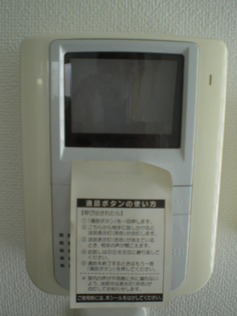 Security. TV monitor phone