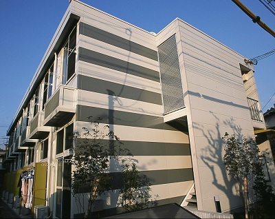 Building appearance. Shulman