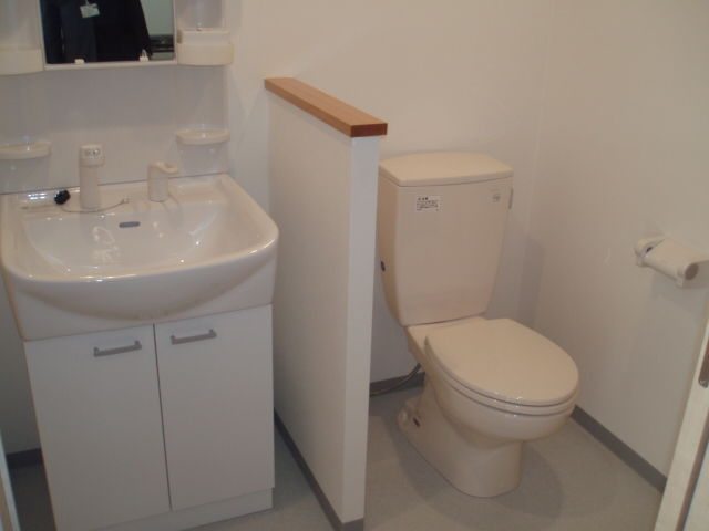 Washroom. Shampoo dresser / toilet