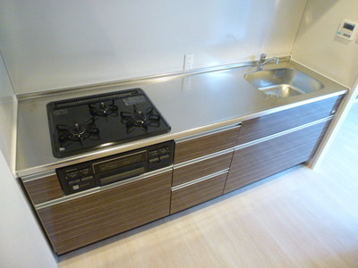 Kitchen. Large-scale system Kitchen