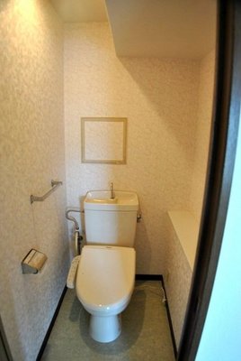 Toilet. Toilet