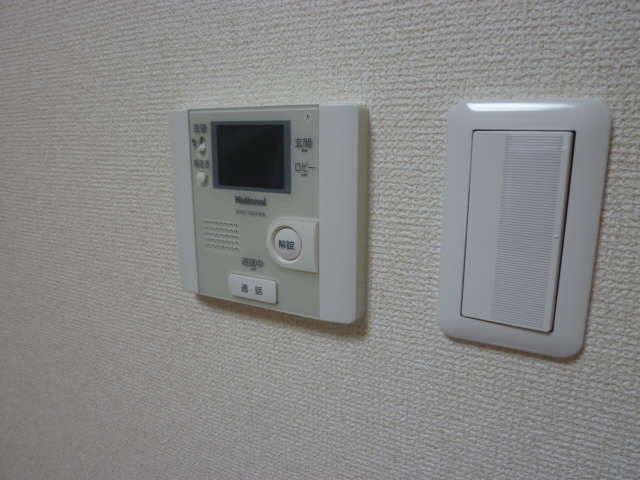 Other. TV monitor