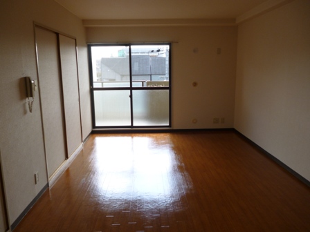 Living and room. South-facing living room