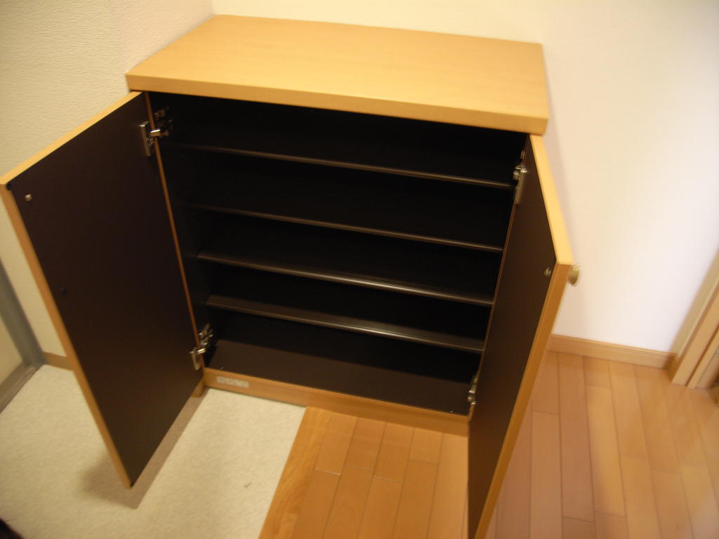 Entrance. Shoes BOX