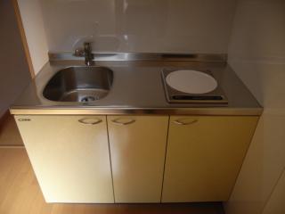 Kitchen. IH cooking heater