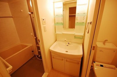 Washroom. Washroom Shampoo dresser