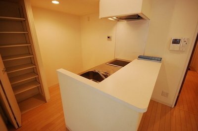 Kitchen. Counter Kitchen