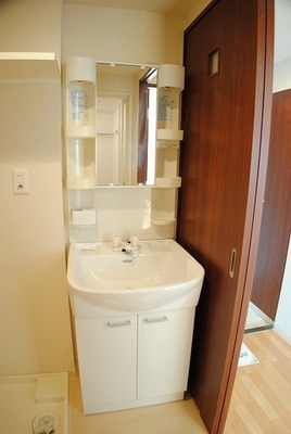 Washroom. Wash basin