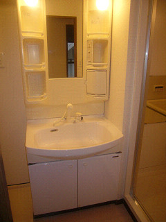 Washroom. Shampoo is a dresser equipped