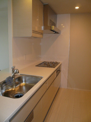 Kitchen. Glass top gas stove, Dishwasher