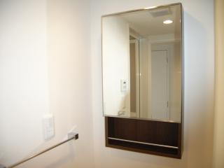 Washroom. Independent wash basin mirror