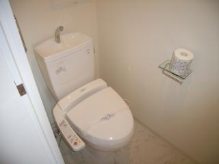 Toilet. Cleaning toilet seat with toilet