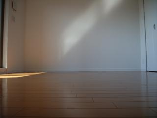 Living and room. Western-style (2)