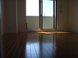 Living and room. Western-style (3)