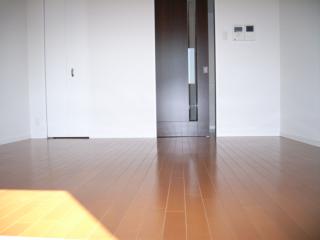 Living and room. Western-style (1)