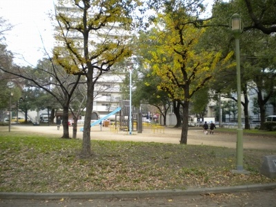 park. Pujiang 537m to the park (park)